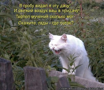 600 X 522 94.8 Kb 500 X 362 32.6 Kb 600 X 404 48.1 Kb 600 X 450 70.0 Kb 700 X 525 85.0 Kb Улыбнемся?