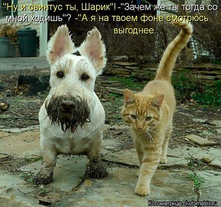 600 X 563 120.9 Kb 600 X 450 72.1 Kb Улыбнемся?