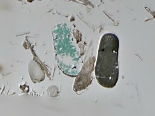 848 X 631  50.2 Kb      ? 