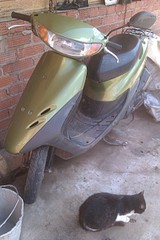 1728 X 2592 872.9 Kb 1920 X 1280 440.8 Kb 1920 X 1280 383.3 Kb   honda dio ()