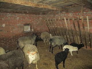 1920 X 1440 684.0 Kb   