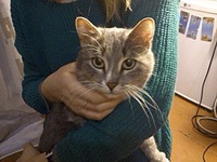 604 X 453  82.6 Kb 604 X 453  97.1 Kb -   !