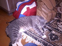 604 X 453  93.0 Kb 604 X 453  82.6 Kb 604 X 453  97.1 Kb -   !