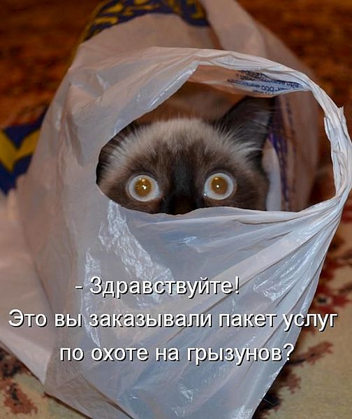611 X 726  65.1 Kb Улыбнемся?