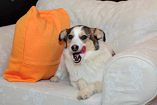 1795 X 1205 308.7 Kb 