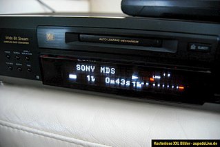 800 X 535  55.5 Kb 200 x 161  MD- Sony+ MD- Sony