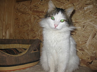 1920 X 1440 644.7 Kb    !