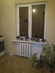 768 X 1024 116.1 Kb 768 X 1024 117.3 Kb 768 X 1024 104.2 Kb Чистая продажа. Срочно.