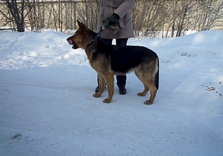 1920 X 1337 203.0 Kb  .   ,  