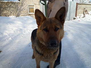 1920 X 1440 702.1 Kb  .   ,  