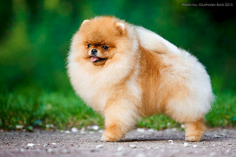 920 X 613 101.2 Kb   !