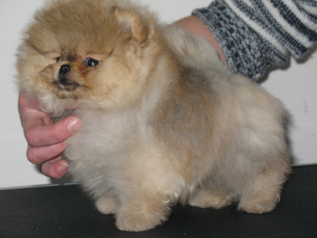 640 x 480 640 x 480   !