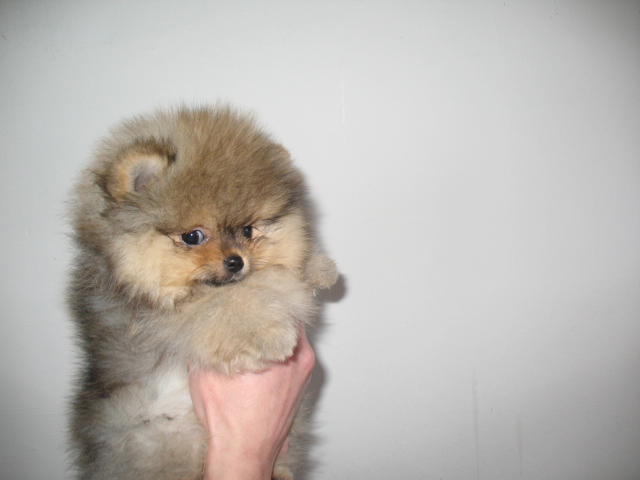 640 x 480 640 x 480   !