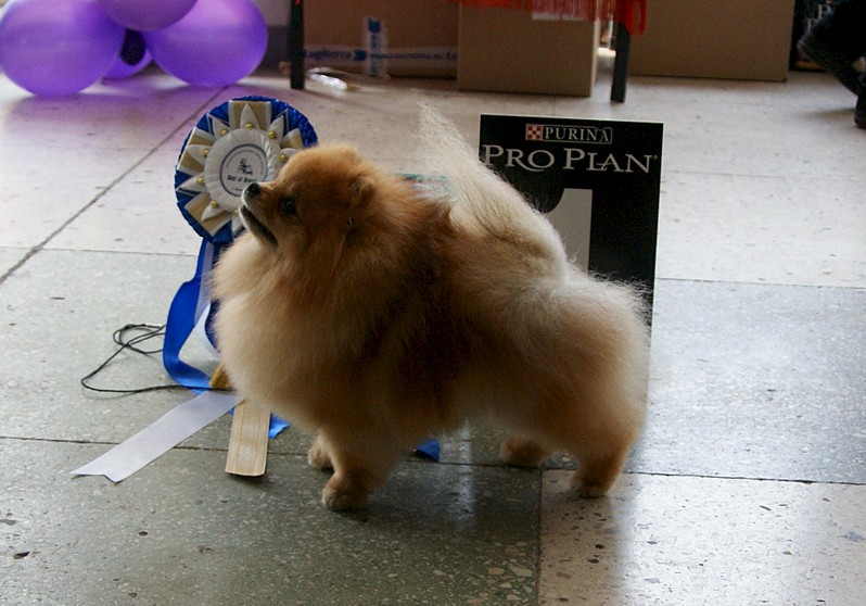 1920 X 1341 424.2 Kb   !