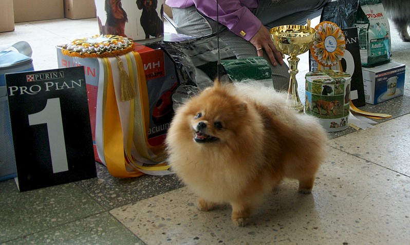 1920 X 1147 428.5 Kb 1920 X 1341 424.2 Kb   !