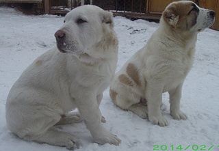 1920 X 1327 708.6 Kb    