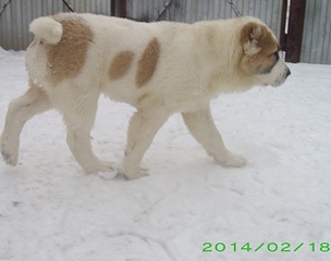 1920 X 1514 630.6 Kb 1920 X 1327 708.6 Kb    