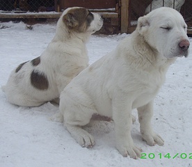 1920 X 1668 792.0 Kb 1920 X 1514 630.6 Kb 1920 X 1327 708.6 Kb    