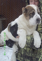 1669 X 2405 357.5 Kb 1920 X 1339 692.7 Kb    