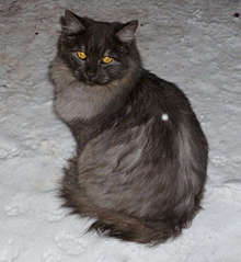 1919 X 2084 218.7 Kb       