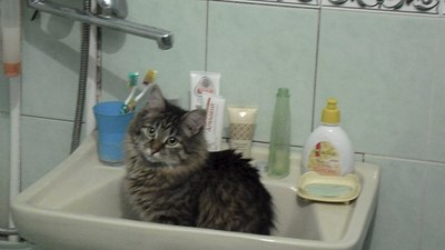 1280 X 720 107.0 Kb 1280 X 720 137.9 Kb 