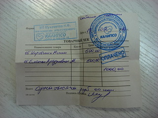 1000 X 750 181.6 Kb Собаку со щенками выбросили около школы N66. Нужна помощь!