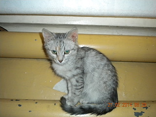 1920 X 1440 481.6 Kb 