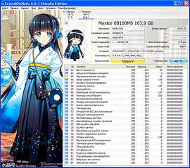 1008 X 894 192.5 Kb 1600 X 1200 618.2 Kb  DDR2   1gb    80gb