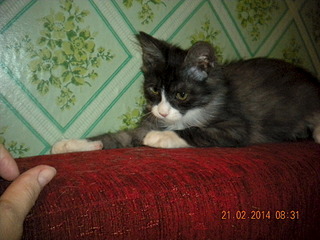 1920 X 1440 759.1 Kb 