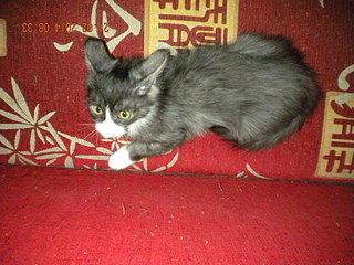 1920 X 1440 681.9 Kb 