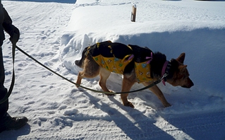 1920 X 1191 163.8 Kb  .   ,  