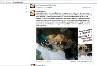 1024 X 700 261.5 Kb sos!