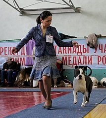 1920 X 2145 323.6 Kb 22 февраля Чайковский всероссийская + моно гриффонов и скотчтерьеров