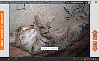 1280 X 800 489.8 Kb 1280 X 800 594.8 Kb  !