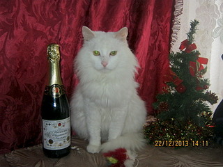 1920 X 1440 583.5 Kb  !