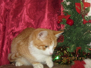 1920 X 1440 821.3 Kb 1920 X 1440 583.5 Kb  !