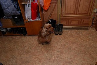 604 X 404  52.5 Kb 604 X 404  61.5 Kb 604 X 404  42.4 Kb  