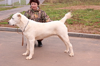 1920 X 1280 682.4 Kb  -    