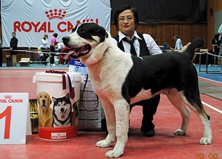 1920 X 1379 238.5 Kb 1920 X 1280 682.4 Kb  -    