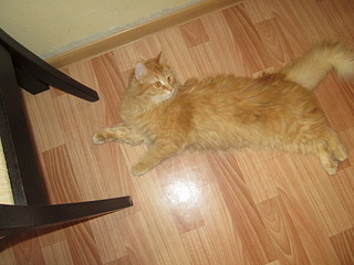 1920 X 1440 546.6 Kb 1920 X 1440 649.9 Kb  