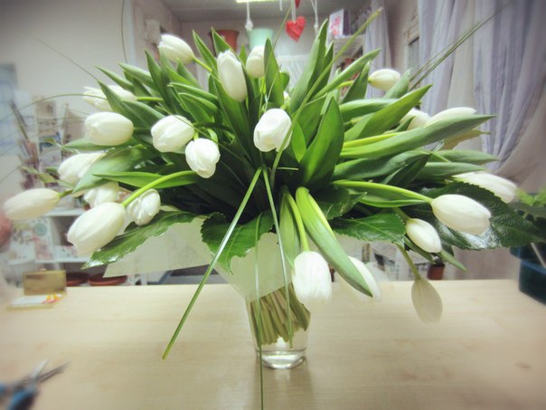 604 x 453 453 X 604  71.5 Kb 604 x 498 604 x 302   