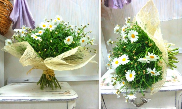 604 x 360 604 x 453 453 X 604  71.5 Kb 604 x 498 604 x 302   