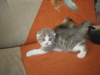 1920 X 1440 1008.7 Kb  