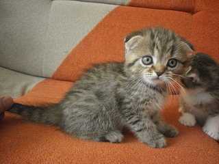 1920 X 1440 984.9 Kb  