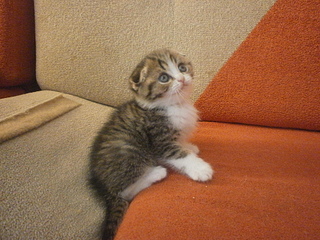 1920 X 1440 275.1 Kb  