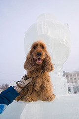 1920 X 2868 731.7 Kb 1920 X 1285 653.7 Kb  