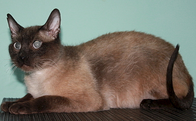 1920 X 1186 987.6 Kb   