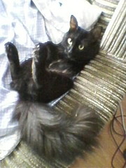 240 X 320  23.9 Kb 240 X 320  24.6 Kb     