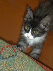 1920 X 2560 357.8 Kb 