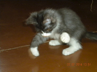 1920 X 1440 550.5 Kb 